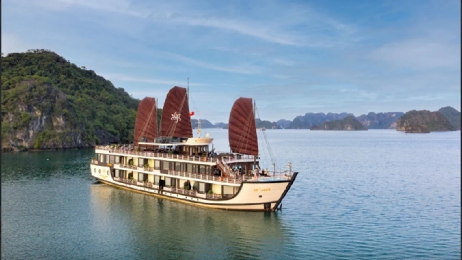 Orchid Trendy Cruise